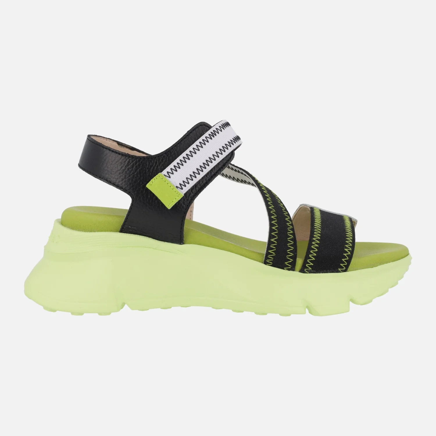 Miniatura 11